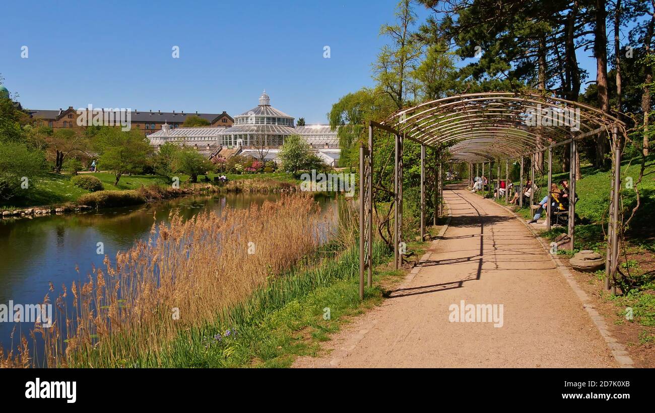 Kopenhagen, Dänemark - 04/29/2019: Menschen sitzen auf Bänken genießen die Frühlingssonne im botanischen Garten (Botanisk haben) in Kopenhagen Zentrum. Stockfoto