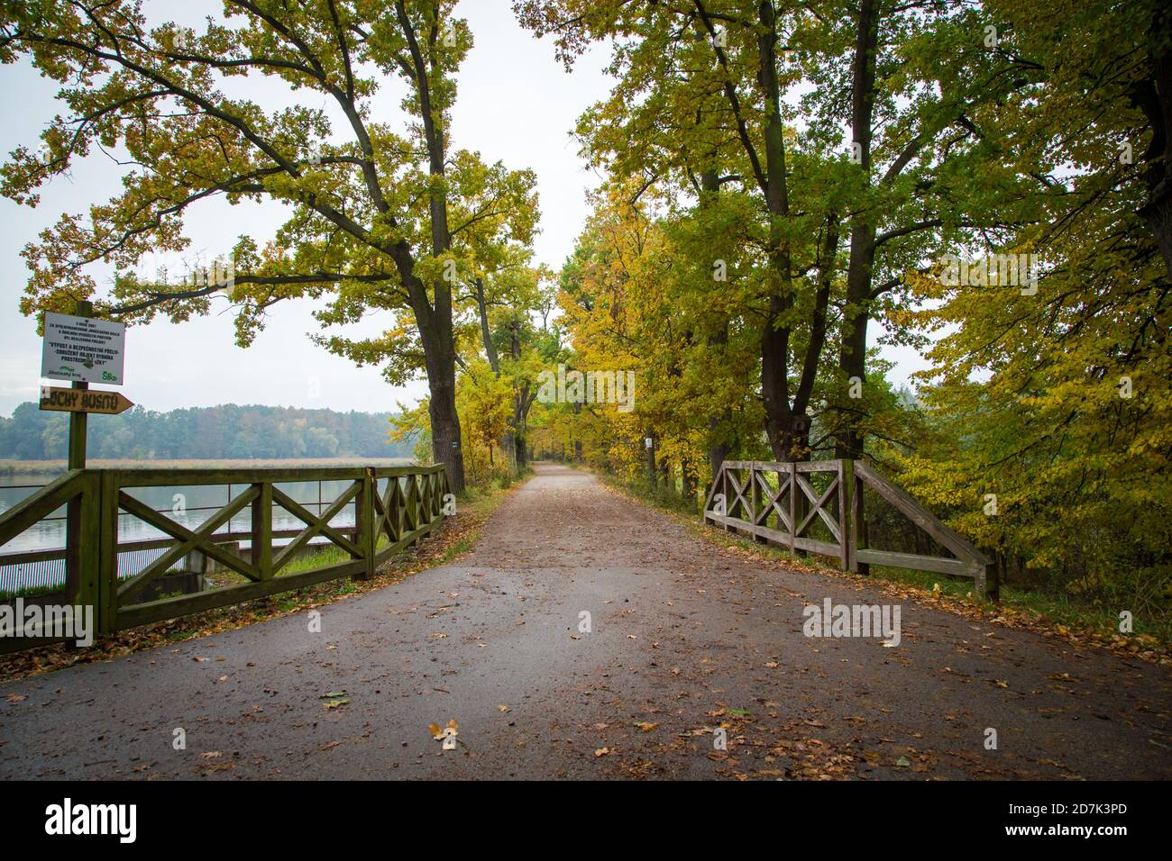 Gasse im Herbst. Sudomer, Tschechische Republik, Europa Stockfoto