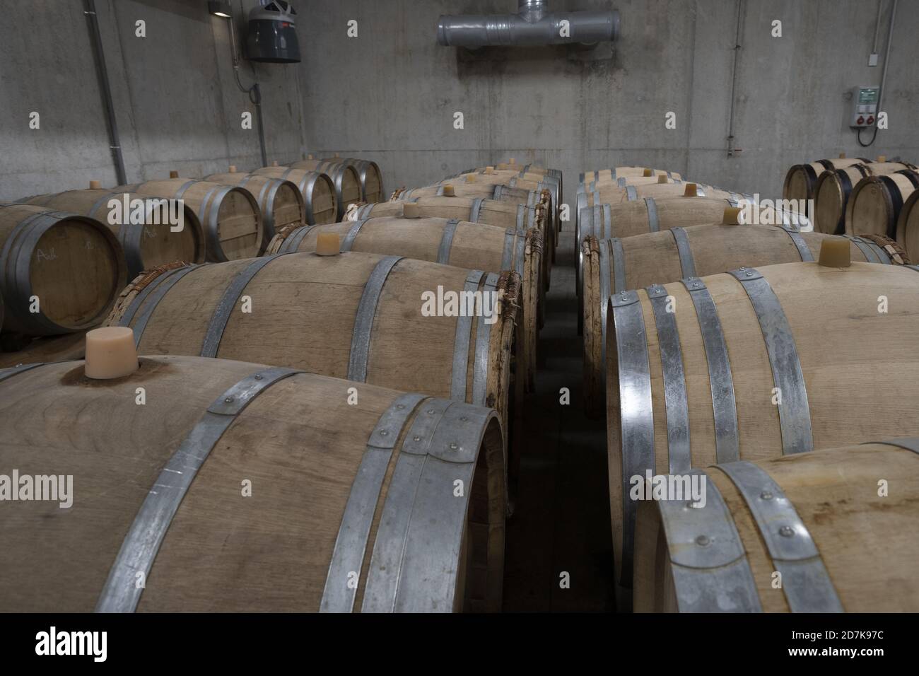 Eichenfass gefüllt mit Wein in einem Weinkeller, Champagne, Frankreich Stockfoto