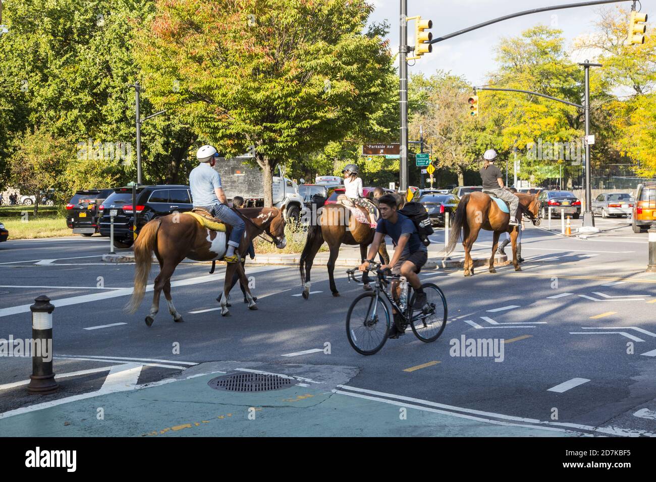 Pferde sind ein regelmäßiger Teil des Straßenverkehrs am Parkside Verkehrskreis von Prospect Park, wenn sie aus dem nahegelegenen Kensington Stables kommen und gehen. Stockfoto