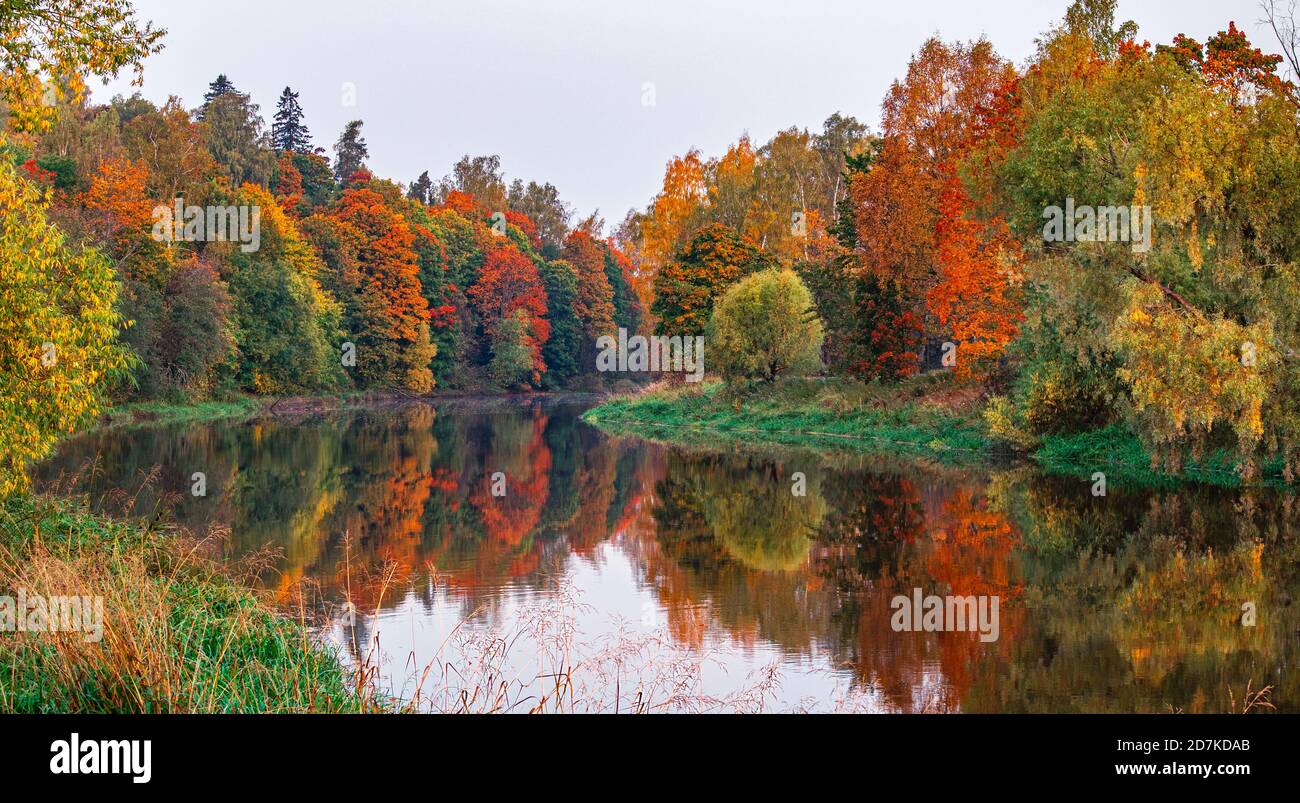 Herbstlandschaft mit bunten Bäumen, die sich an einem bewölkten Tag in der spiegelnden Oberfläche des ruhigen Flusses spiegeln. Oktober-Landschaft. Küste mit Herbstwald Stockfoto