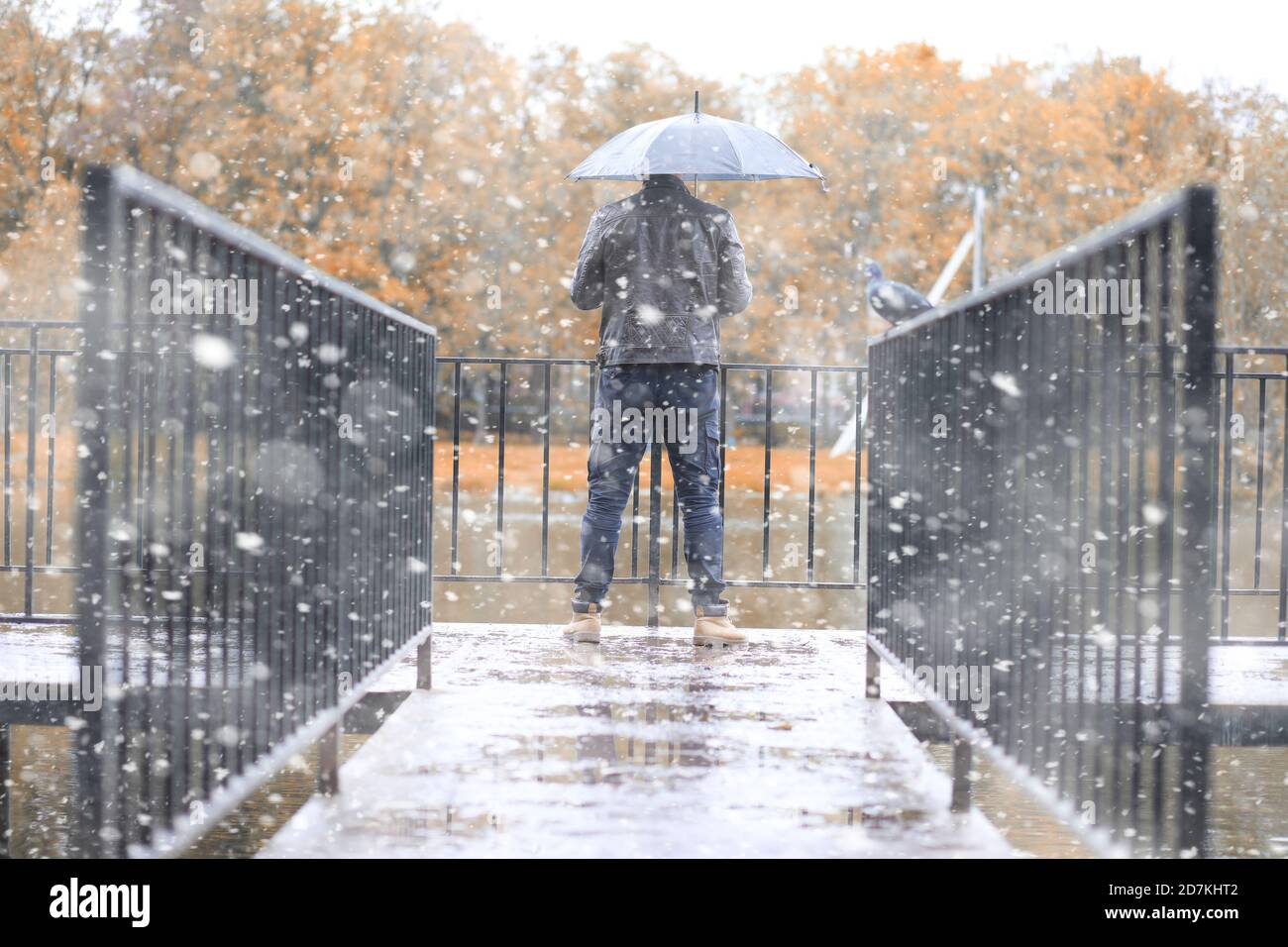 Herbst Park in den ersten Schnee Stockfoto