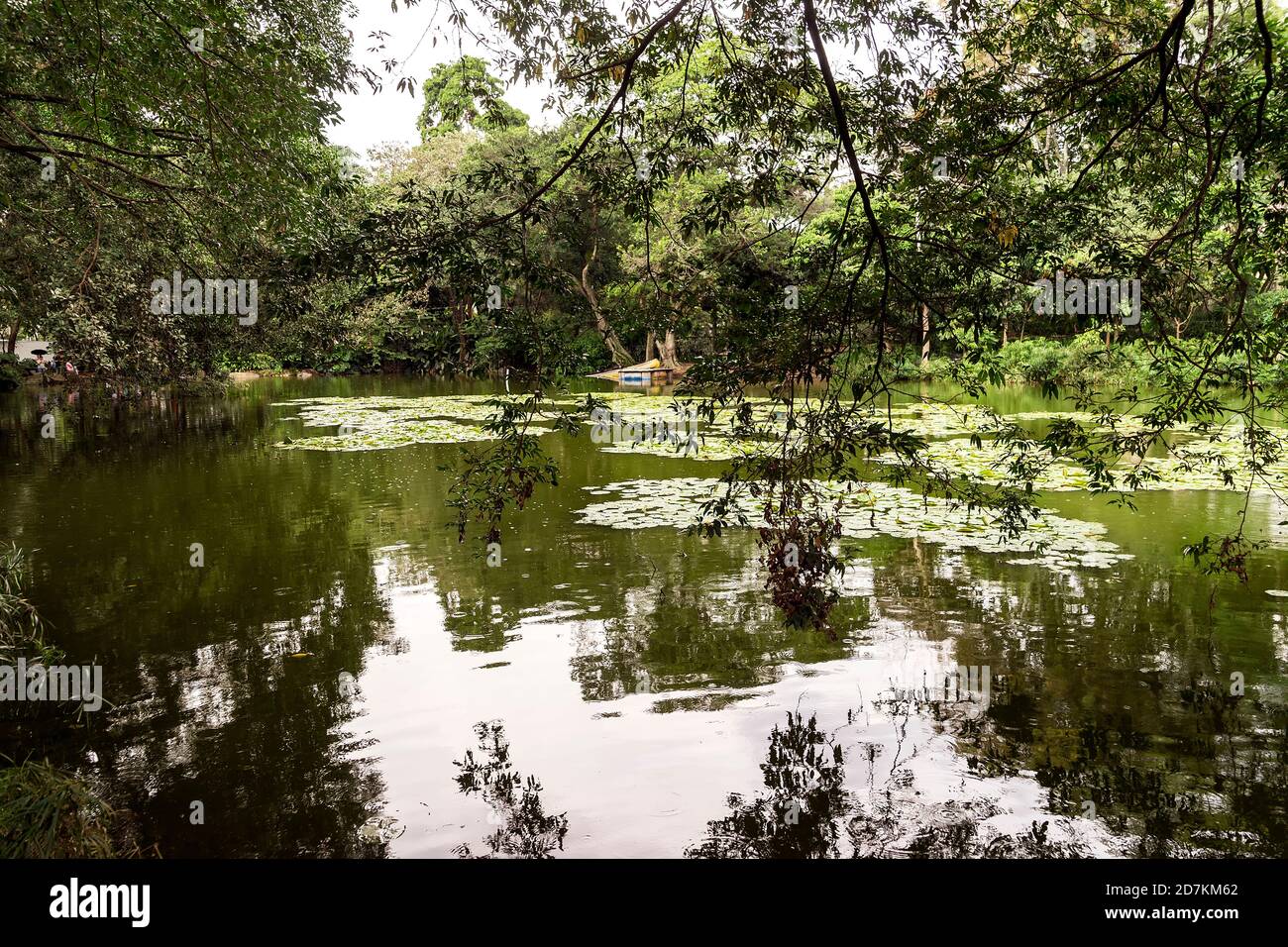 Grüne Landschaften des Botanischen Gartens von Medellin in Antioquia, Kolumbien. Stockfoto