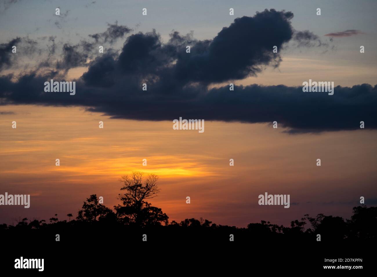 Sonnenuntergang im Regenwald Stockfoto