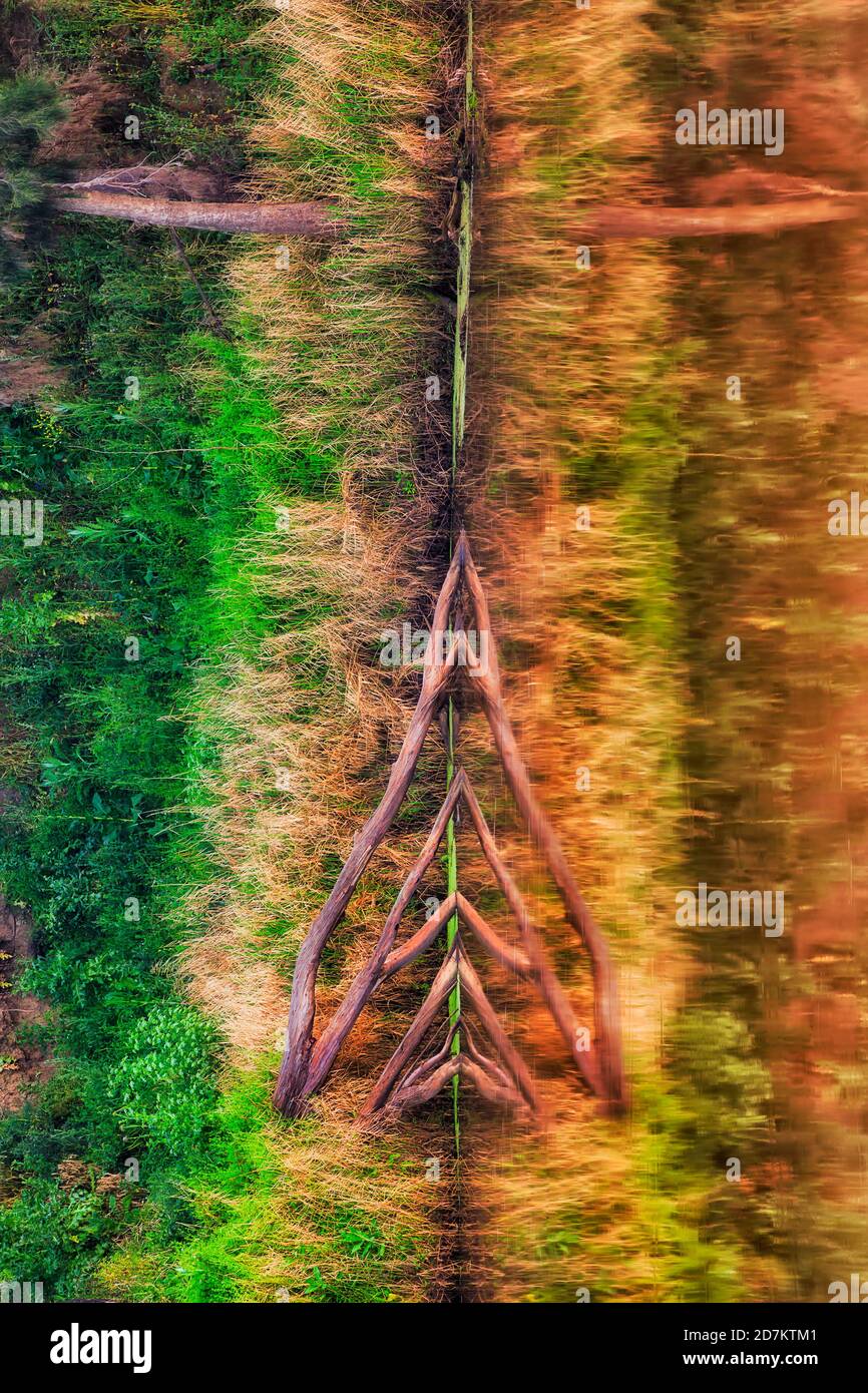 Tote Holzstämme tauchten in ruhigen, faulen Gewässern des Macquarie Flusses mit Reflexion. Stockfoto