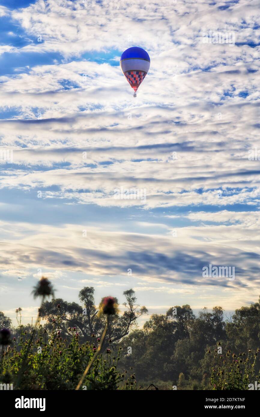 Heißluftballon hoch am Himmel in der Nähe von Dubbo Stadt auf Australian Great Western Plains in NSW - weiche Morgensonne Leicht Stockfoto