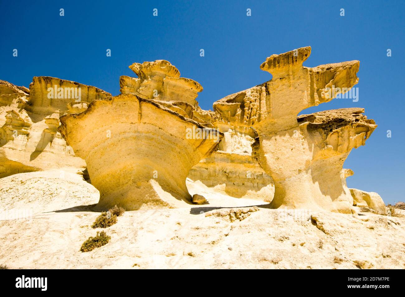 Erosion auf Sandstein am Strand von Bolnuevo, Mazarron, Murcia, Spanien Stockfoto