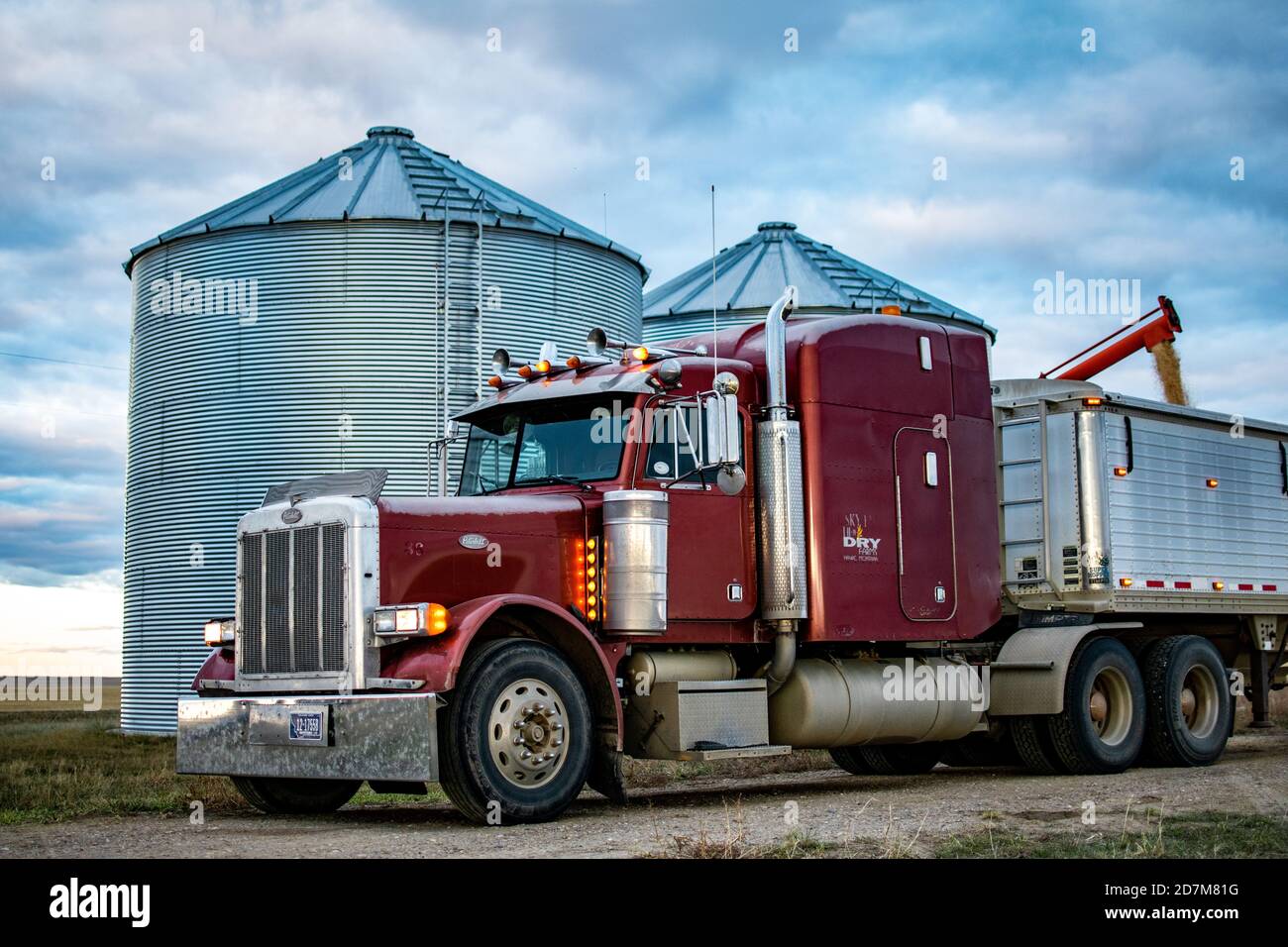 Ein Sattelschlepper belädt, für den Transport, Weizen aus einem Kornbehälter Stockfoto