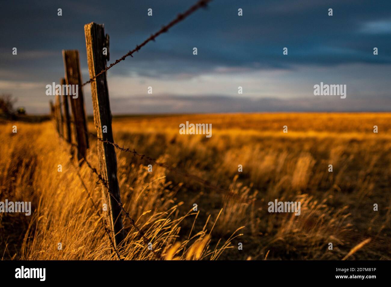 Ein Stacheldrahtzaun auf einer Montana Weide Stockfoto