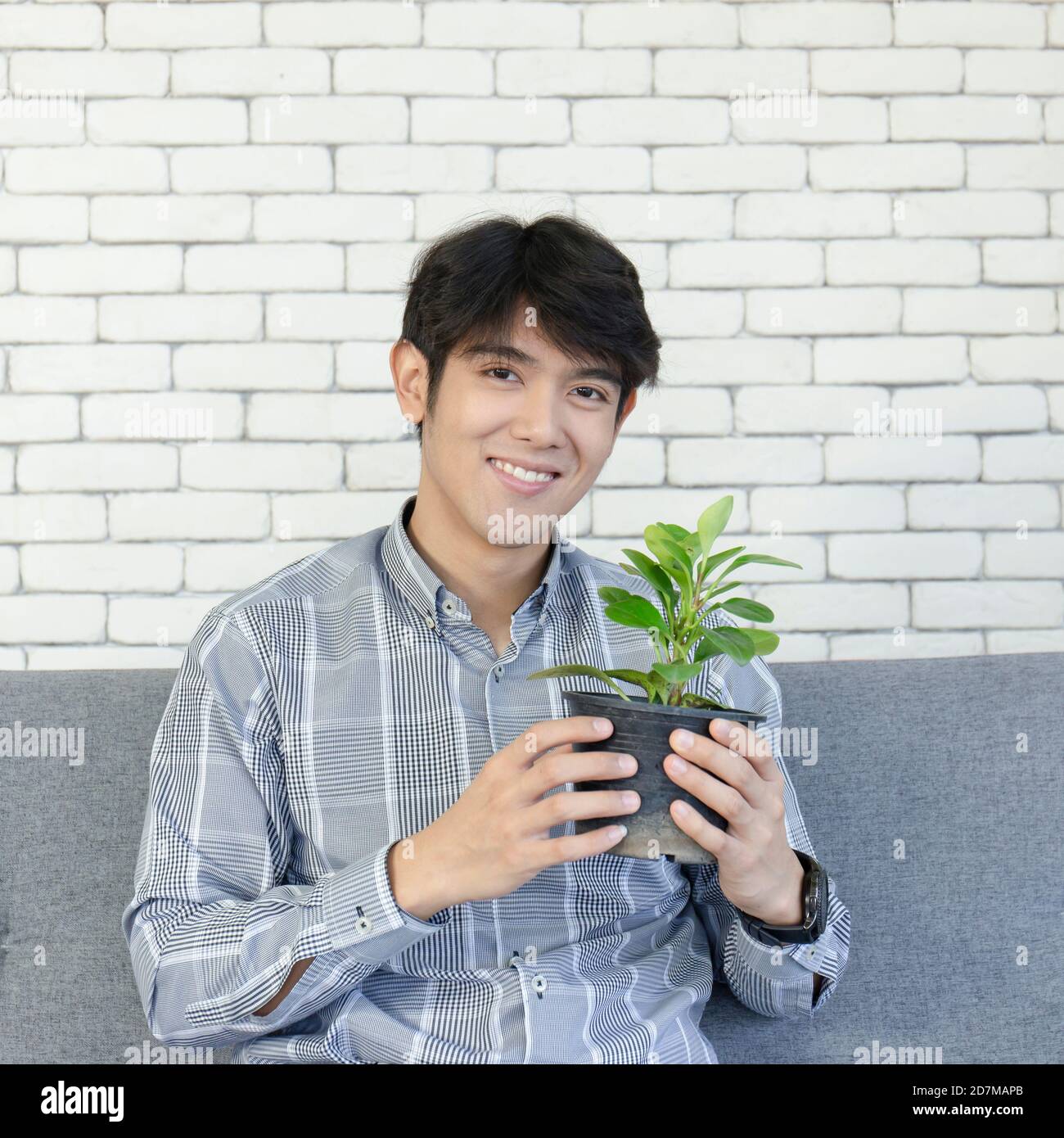 Ein junger asiatischer Mann hält einen Pflanztopf und lächelt hell. Stockfoto