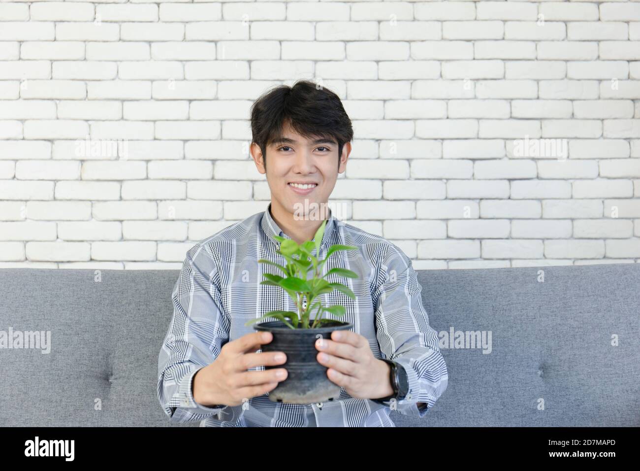 Ein junger asiatischer Mann hält einen Pflanztopf und lächelt hell. Stockfoto