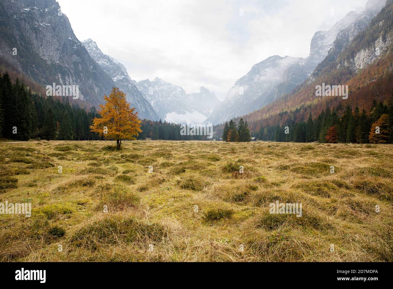 Herbst im Krma-Tal, Triglav natioanl Park, Slowenien Stockfoto