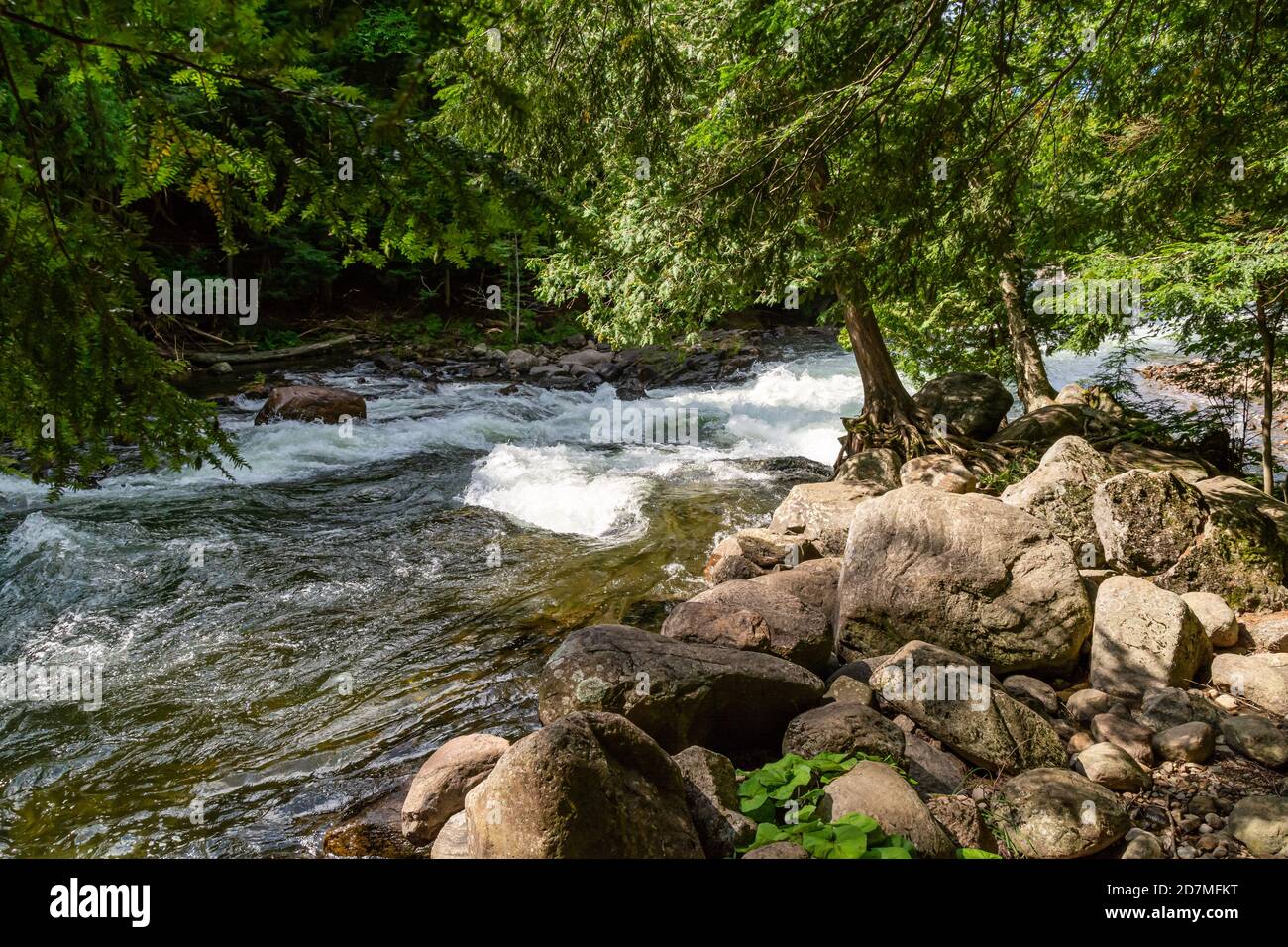 Wildwasser Preserve Minden Hills Algonquin Highlands Ontario Kanada im Sommer Stockfoto