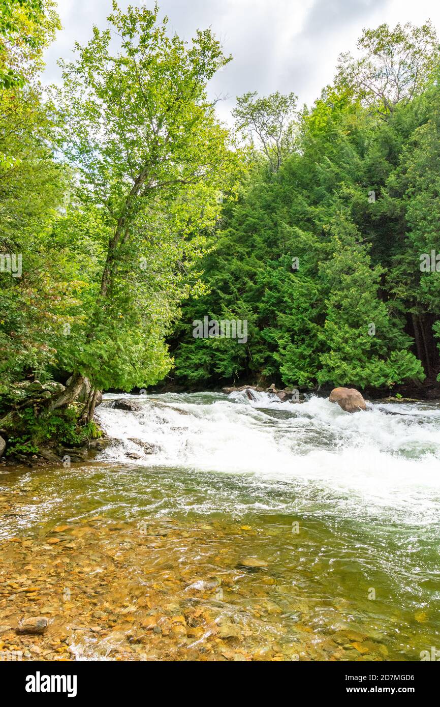 Wildwasser Preserve Minden Hills Algonquin Highlands Ontario Kanada im Sommer Stockfoto