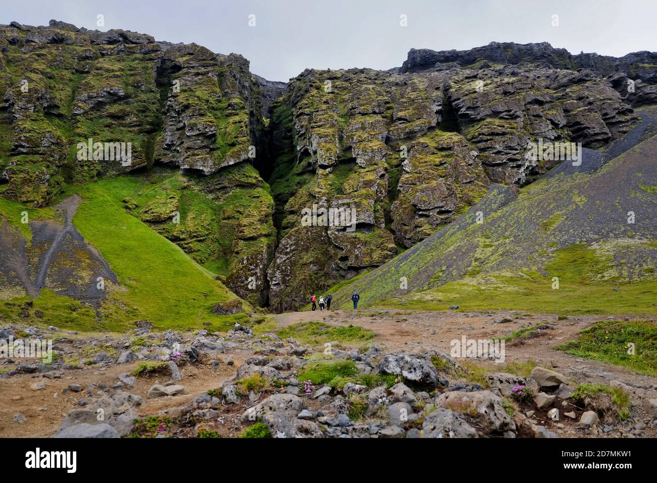 Rauðfeldsgjá ist eine Schlucht auf der Halbinsel Snæfellsnes in Island. Stockfoto