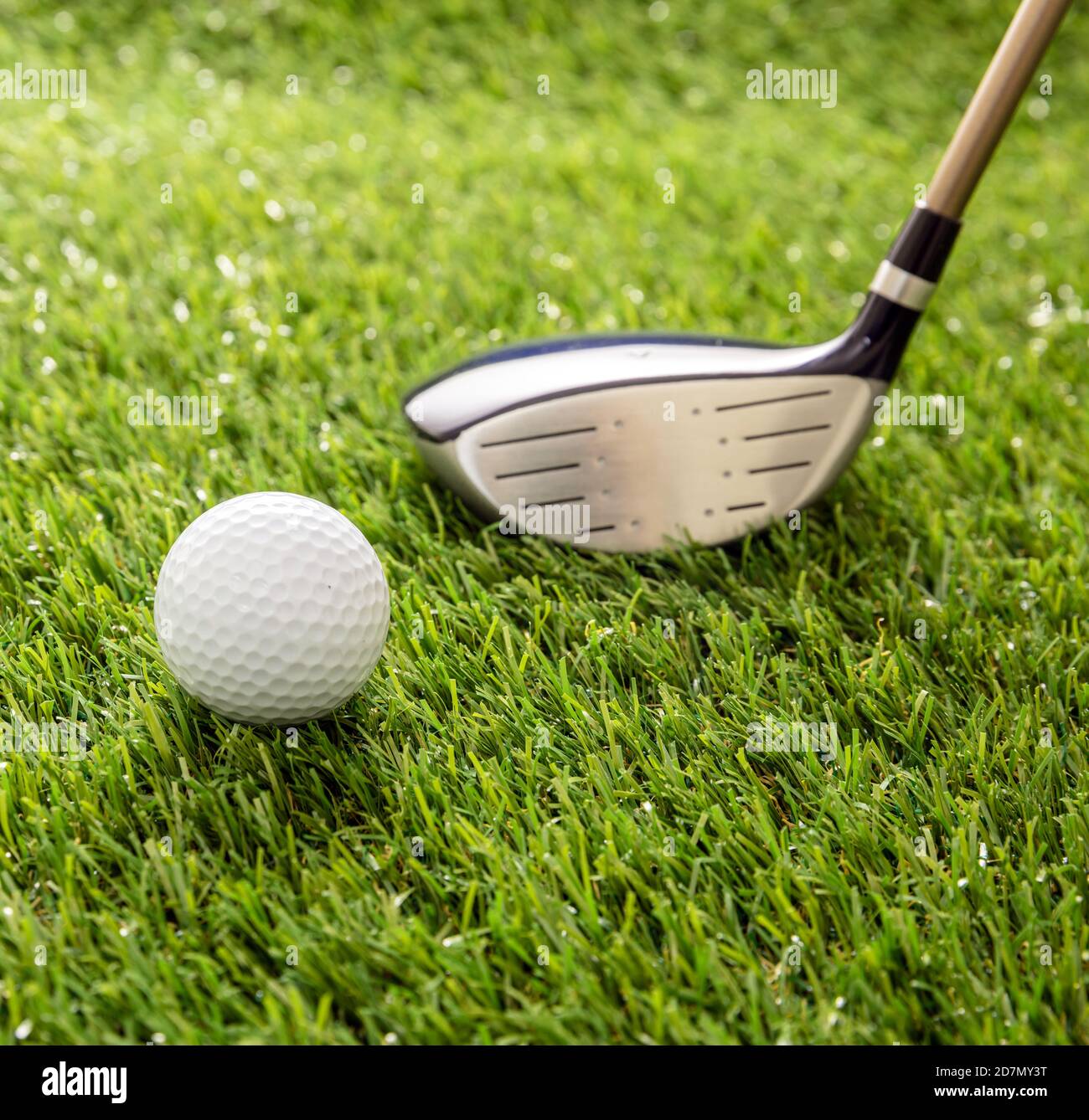 Golfschläger bereit, um einen Ball auf dem grünen Platz Rasen, Sonnenlicht Reflexionen, Nahaufnahme zu treffen. Golf Sportausrüstung und Clubkonzept. Stockfoto