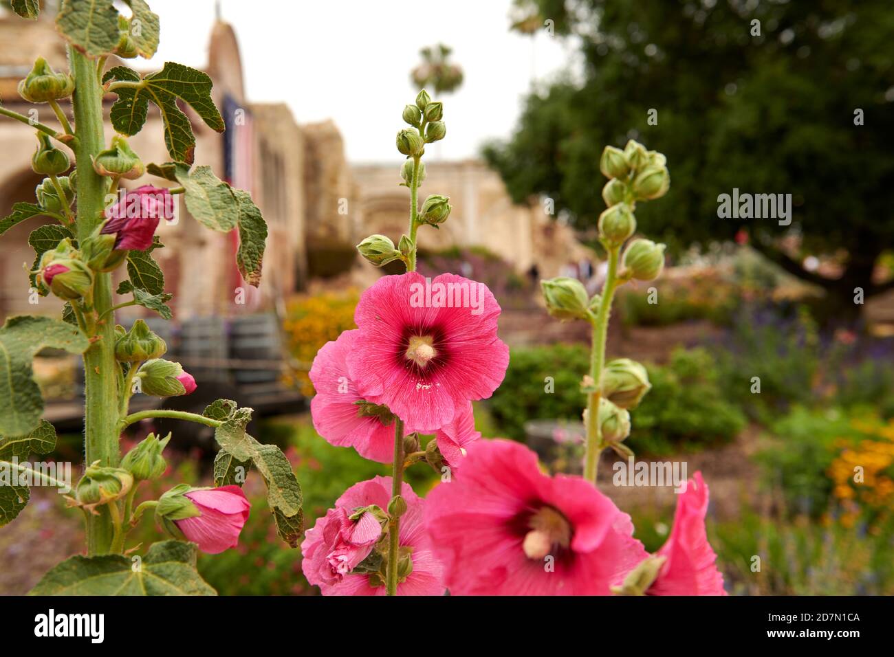 Die Mission, San Juan Capistrano, Kalifornien, USA Stockfoto