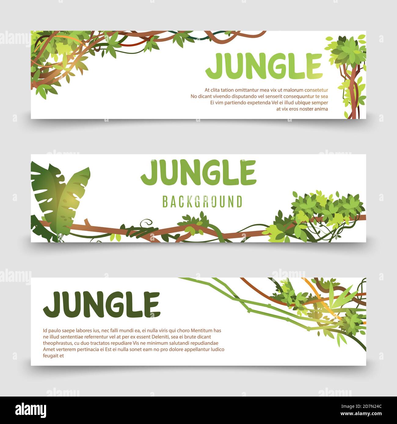 Vektor-Banner für tropische Pflanzen. Banner-Vorlagen für Dschungelblätter und Liane. Illustration Dschungel tropische Karte, botanische natürliche Laub Stock Vektor