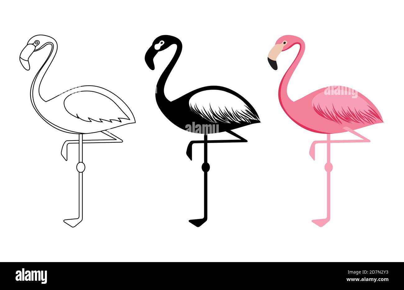 Umriss und Silhouetten Flamingo Vektor isoliert auf weißem Hintergrund. Vogel Flamingo Silhouette und Umriss Illustration Stock Vektor