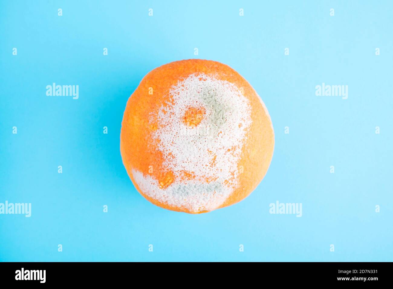 Verfallendes Orange auf blauem Hintergrund. Verfaulte Orange. Stockfoto
