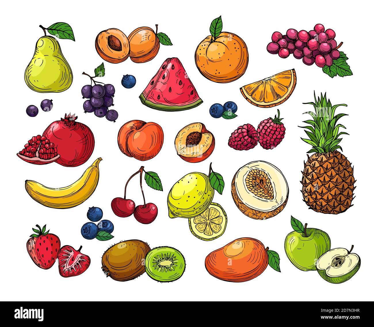 Cartoon Beeren und Früchte. Ananastrauben, Birnenapfel, Orange Mango, Melone Kiwi, Banane Zitrone. Vektor-isolierter Satz. Illustration von Wassermelone und Erdbeere, saftige Früchte Stock Vektor