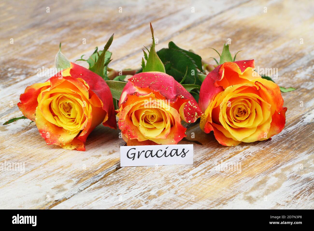 Gracias (danke auf Spanisch) Karte mit drei bunten Rosen bestreut mit