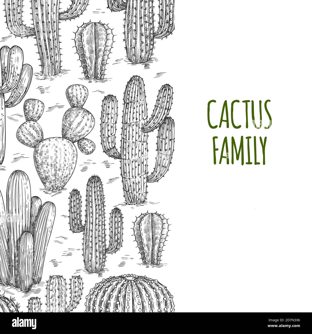 Vektor skizzierte Cactuses Banner-Vorlage mit Text. Illustration von Kaktus stachelig, Umriss Banner mit Kakteen Stock Vektor