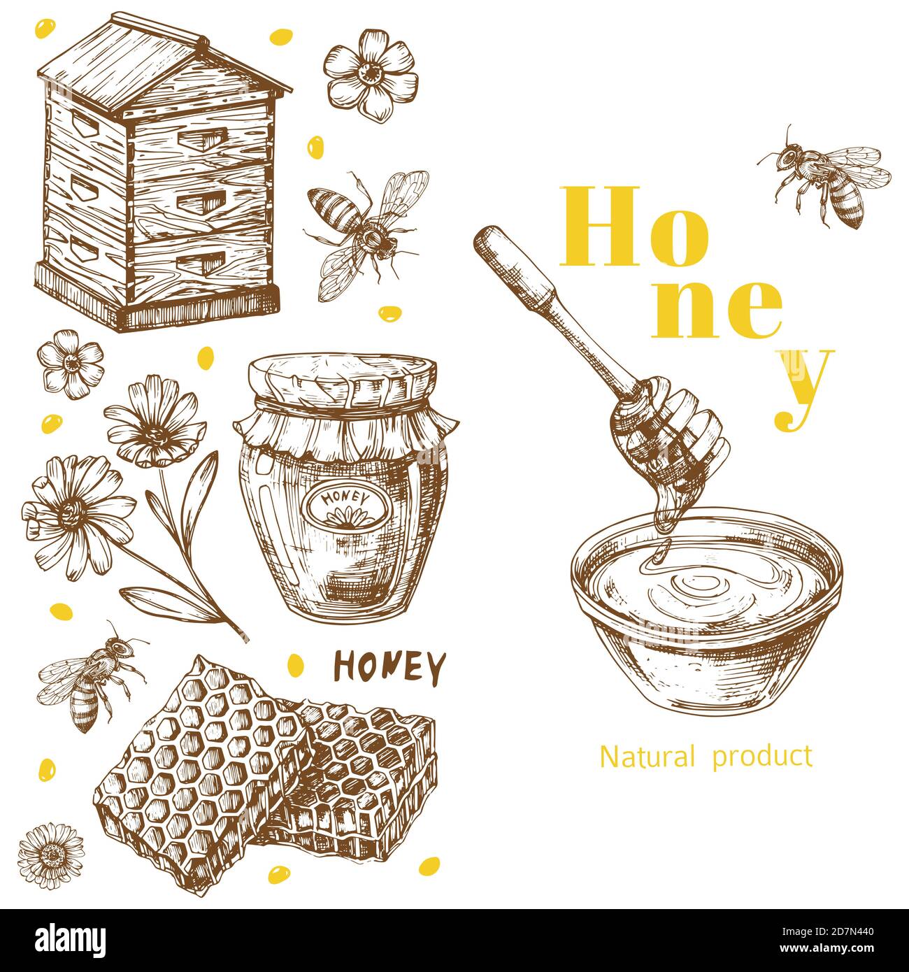Retro Vektor Honig Hintergrund Vorlage mit handgezeichneten Elementen. Illustration von Honigbiene Jahrgang, Gesundheit natürlich süß Stock Vektor