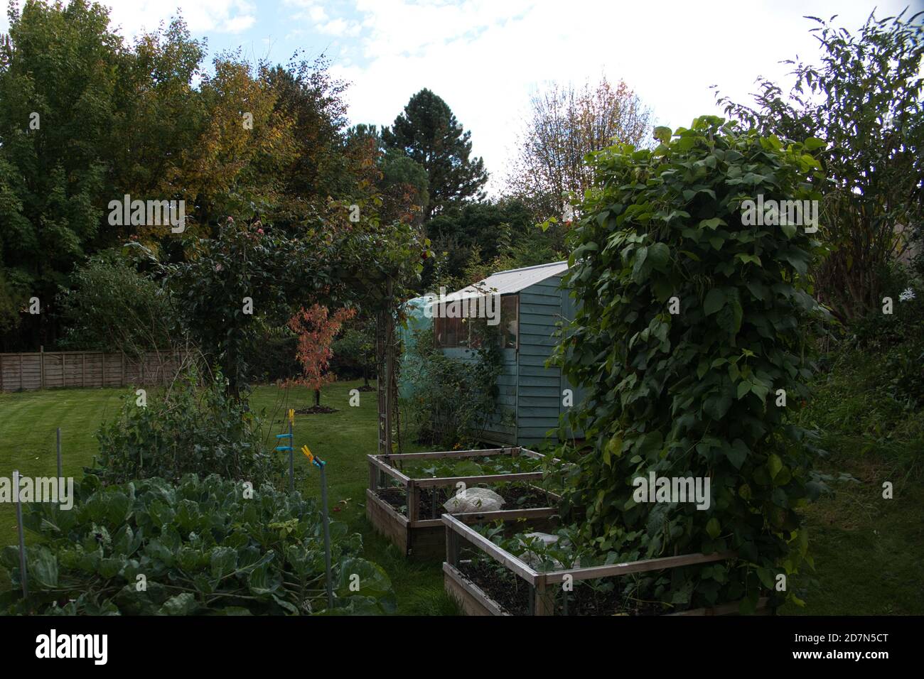 Garten-Szenen Stockfoto