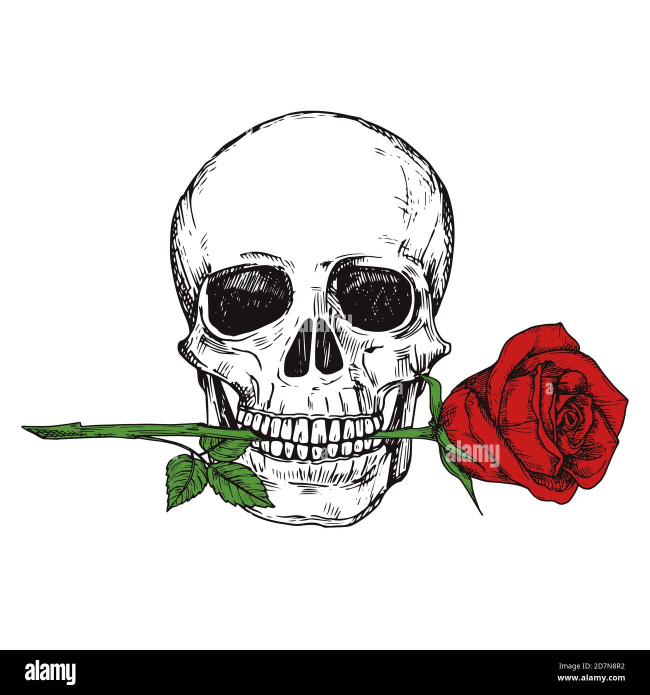 Handgezeichneter glücklich menschlichen Schädel mit roter Rose - skizzierte Schädel druckbare Vektor-Illustration. Schädel Mensch und Skizze rote Blume Stock Vektor
