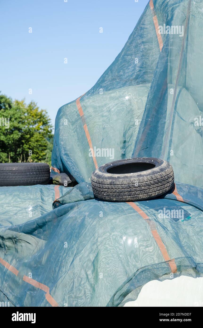 Gebrauchte, alte Gummireifen werden auf dem Land in Deutschland entsorgt Stockfoto