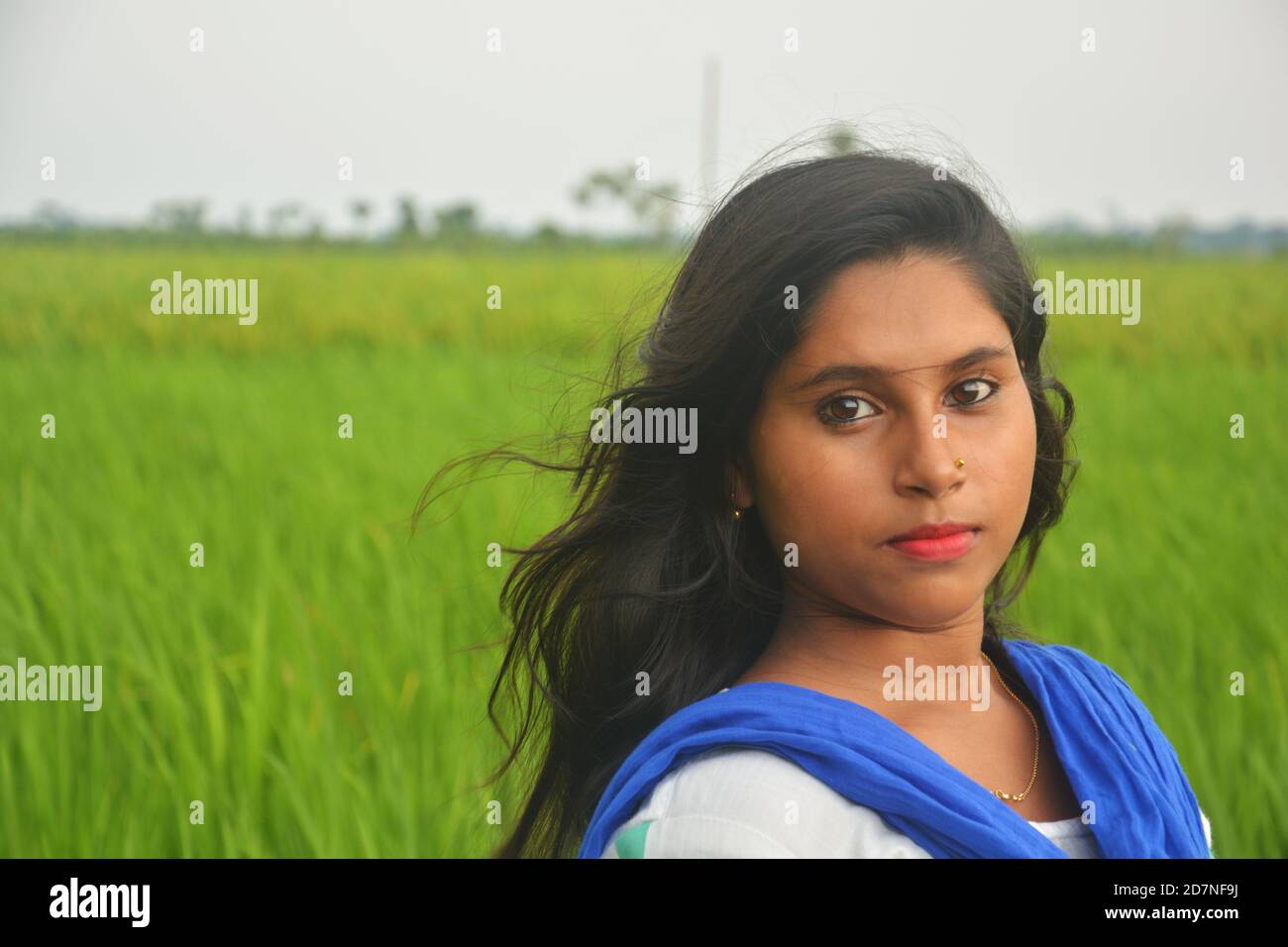 Nahaufnahme eines Teenagers in weißem Salwar und blauem Dhupatta mit langen Haaren in einem grünen Reisfeld, selektive Fokussierung Stockfoto