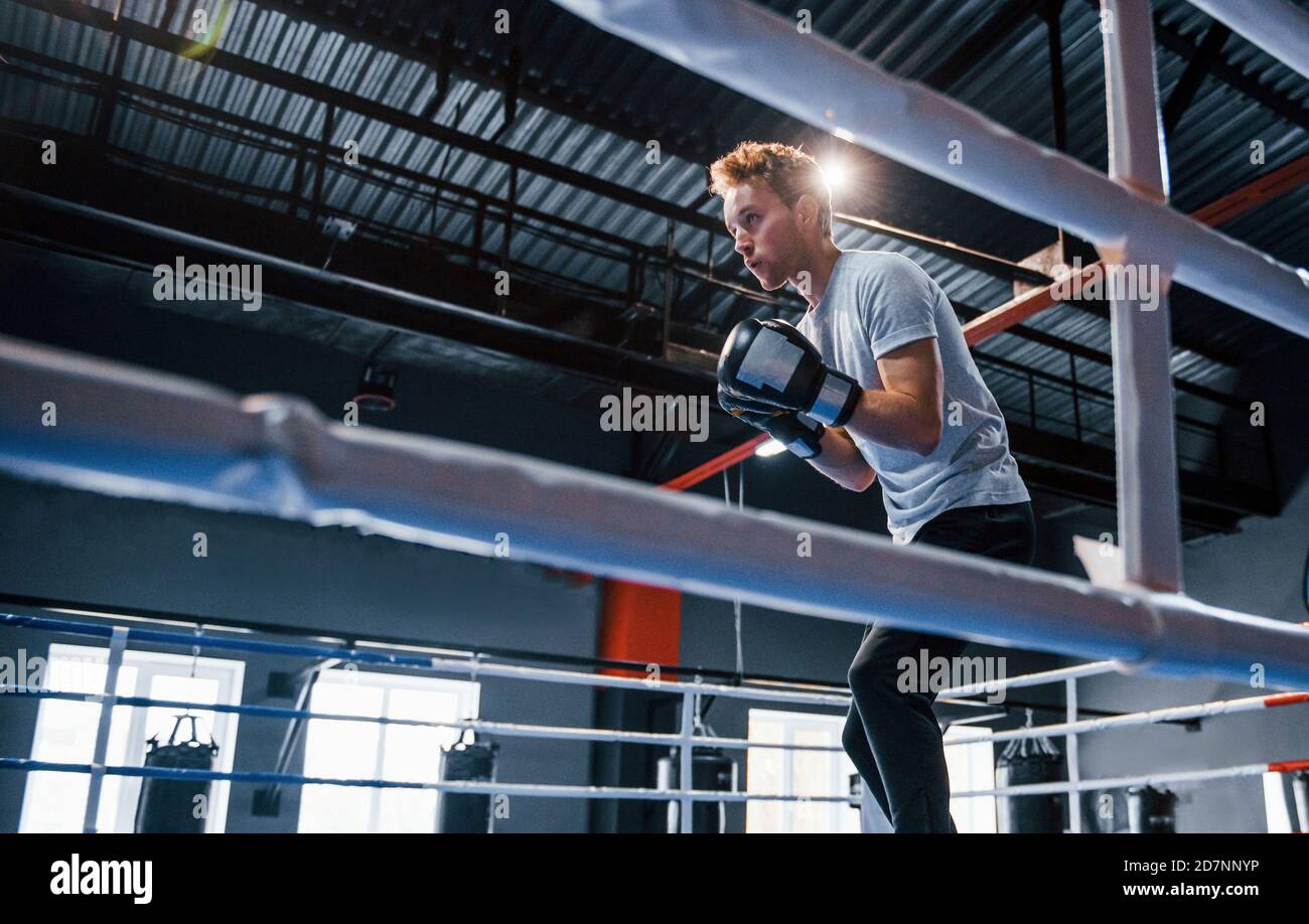 Junger Mann in weißem Hemd und Schutzhandschuhen macht Übungen Im Boxring Stockfoto