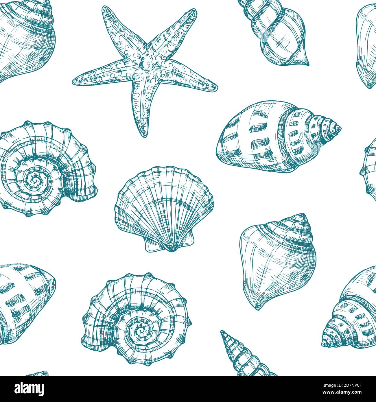 Seashells Nahtloses Muster. Meeresmuschel Sommer Ozean Textur. Seesterne wiederholen Vektor vintage Skizze Hintergrund. Abbildung der Muschel Zeichnung Hintergrund Stock Vektor