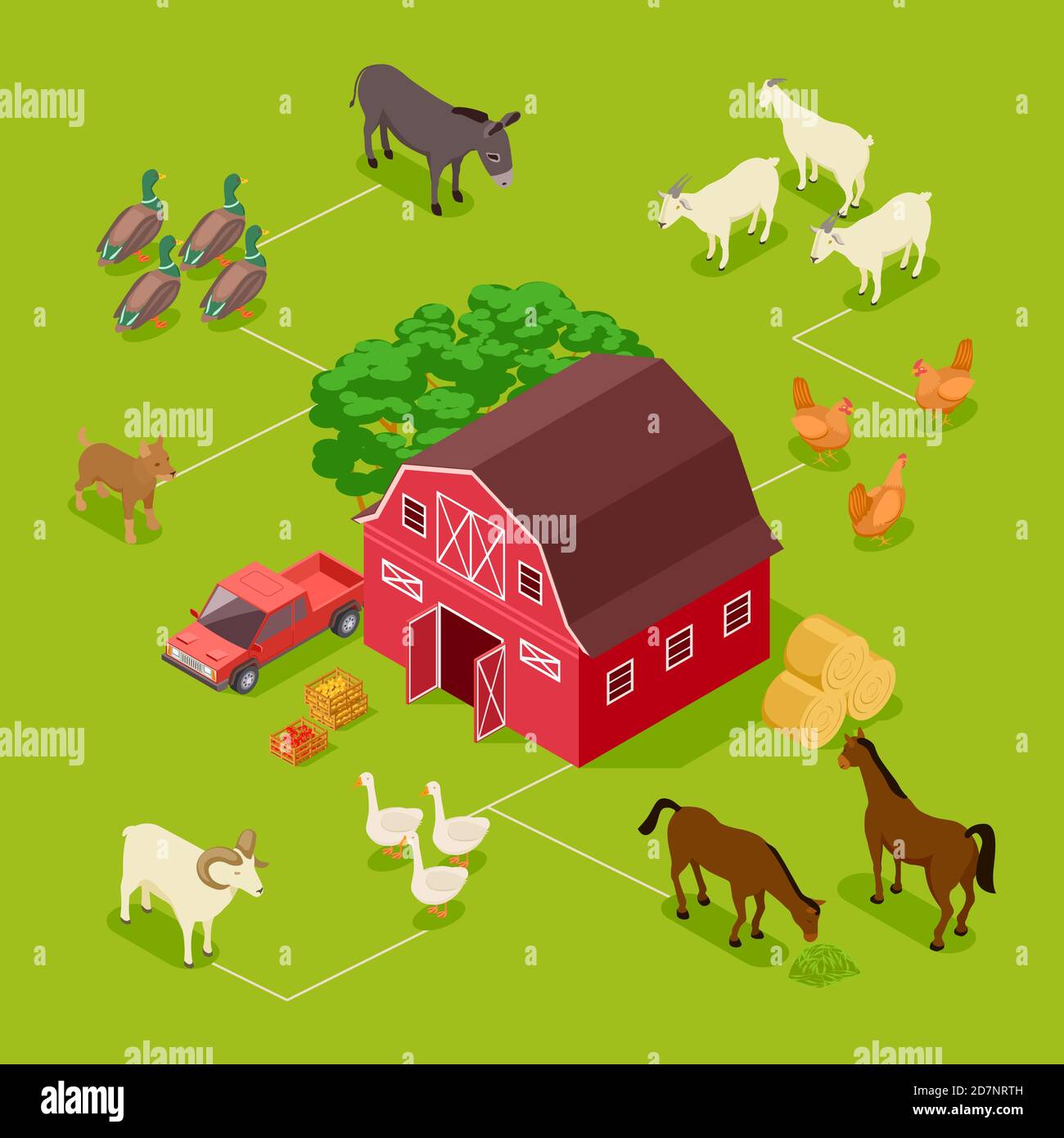 Isometrisches Farmvektorkonzept. Vieh, Nutzvögel, Scheune 3d-Illustration. Isometrische 3d-Farm, Vögel Gans und Ente Stock Vektor