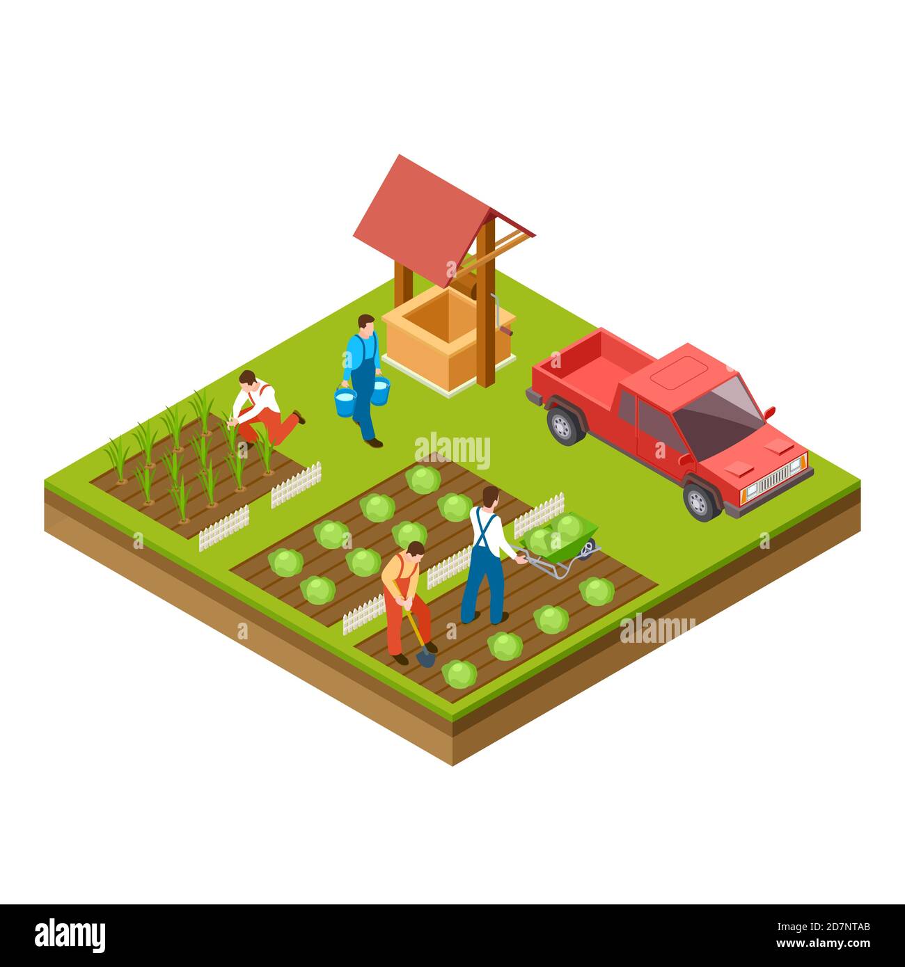 Garten- und Erntevektor 3d isometrisches Konzept. Sammeln Ernte und Landwirtschaft wachsen Illustration Stock Vektor
