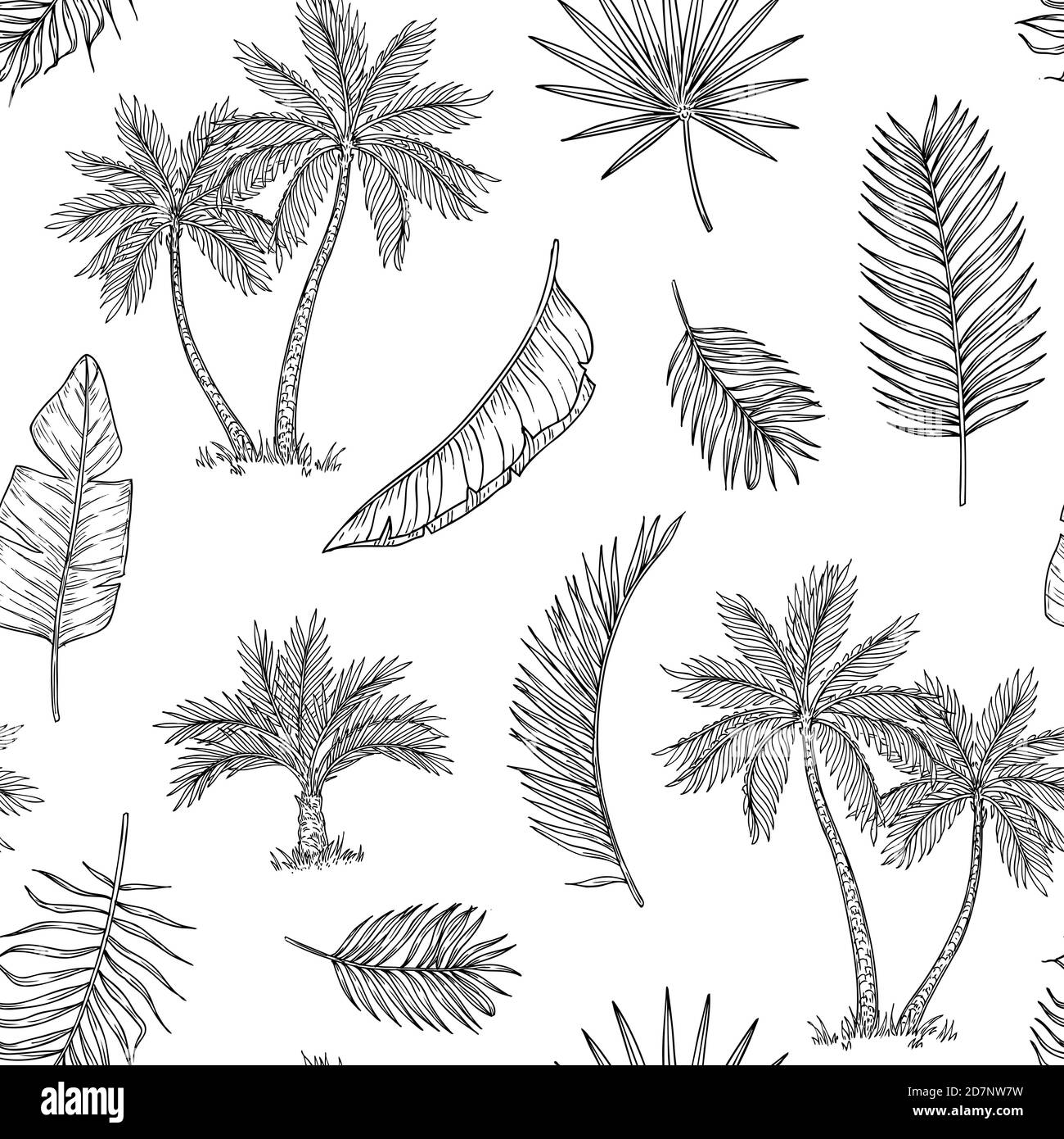 Palm Tree nahtloser Hintergrund. Tropische Kokospalme, exotische Insel. Vintage Hand Zeichnung abstrakt floral Sommer Vektor drucken Muster. Muster nahtlose Baum Palme Blatt Hintergrund Illustration Grafik Stock Vektor