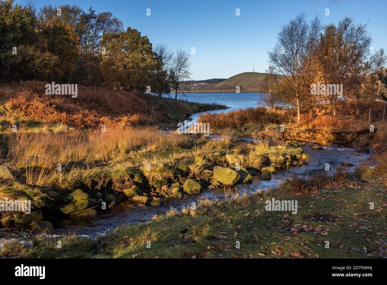 Chew Brook, Greenfield, im Peak District, läuft im Herbst in Dovestone Reservoir Stockfoto