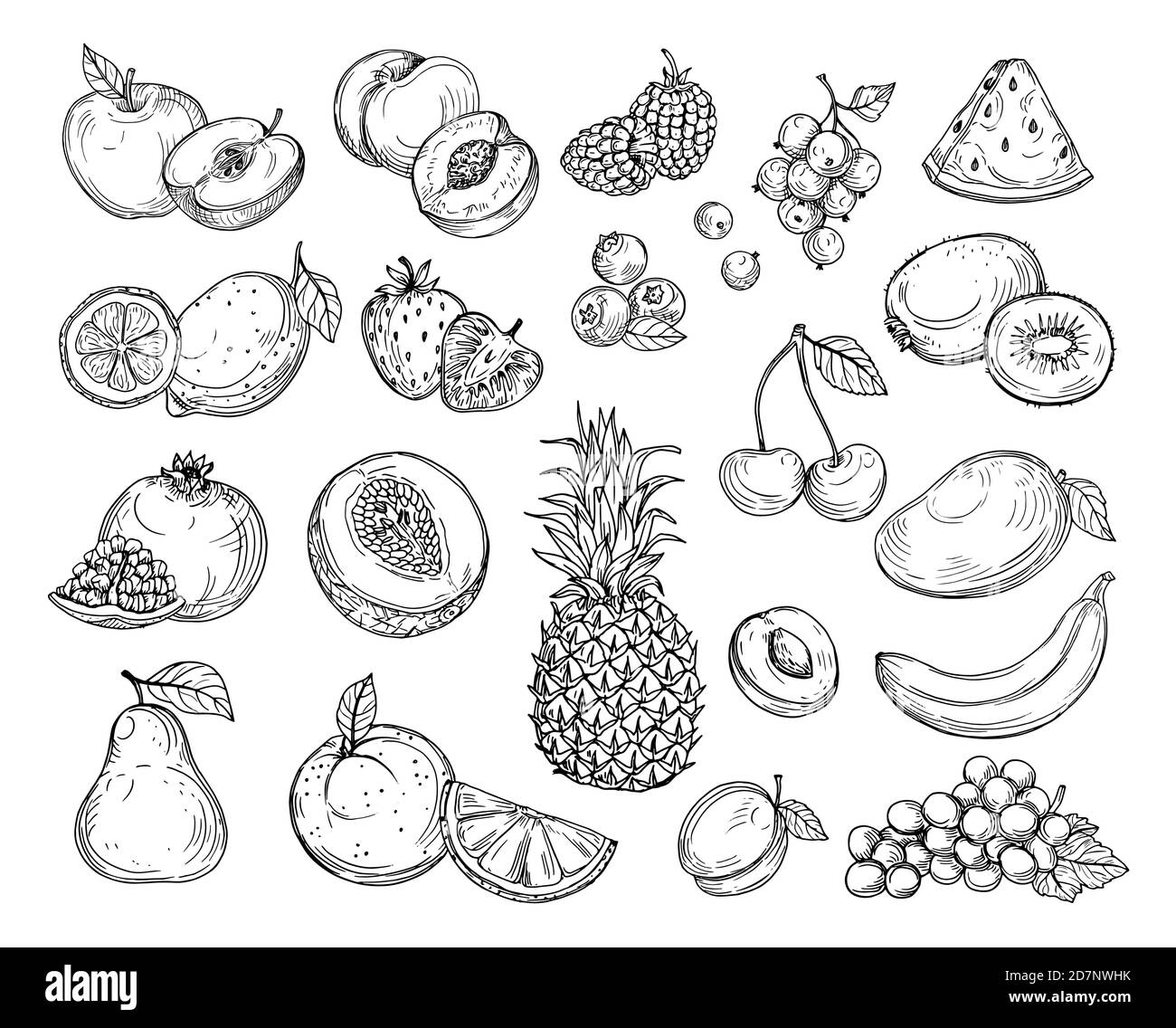 Skizzieren Sie die Früchte. Erdbeermelone, Pfirsich-Mango. Banana Ananas, Himbeere Trauben Hand gezeichnete Früchte Beere Vektor-Set. Illustration von Melone und Banane, Kirsche und Zitrone Stock Vektor