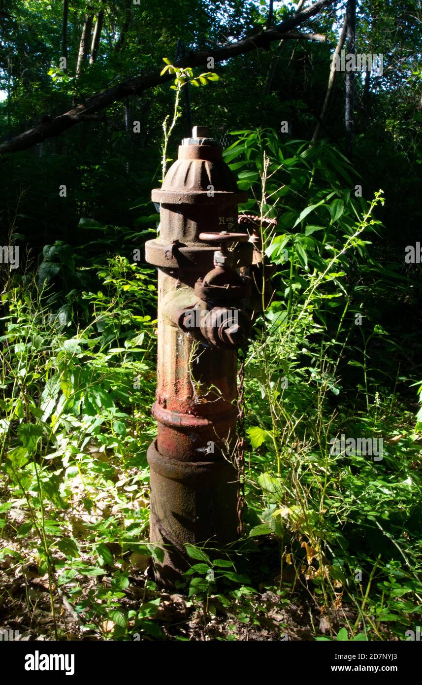 Verlassene Hydrant im Wald in der Nähe der Papierfabrik Jaite Im Cuyahoga Valley National Park Stockfoto