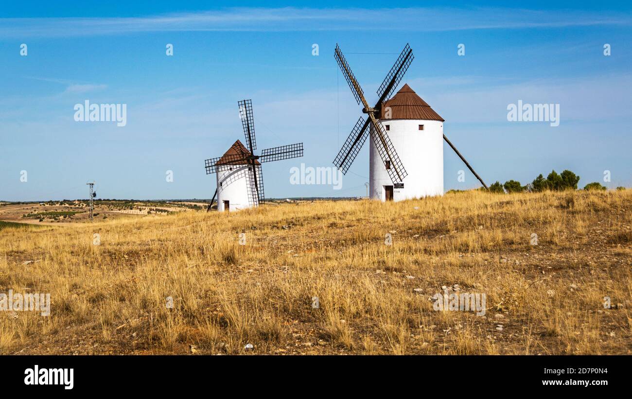 Alte traditionelle weißgetünchte Windmühlen in der Nähe von Mota del Cuervo in Kastilien la Mancha, Spanien. Stockfoto