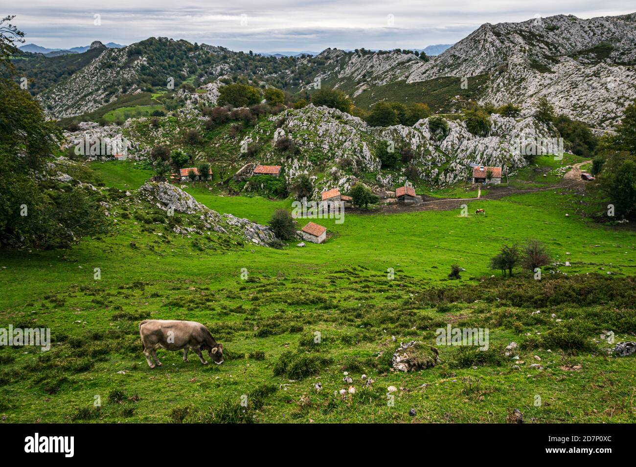 Die ländliche Landschaft von Asturien, Spanien. Grüne Wiese mit kleinen Häuschen im Nationalpark Picos de Europa in Asturien, Spanien. Stockfoto