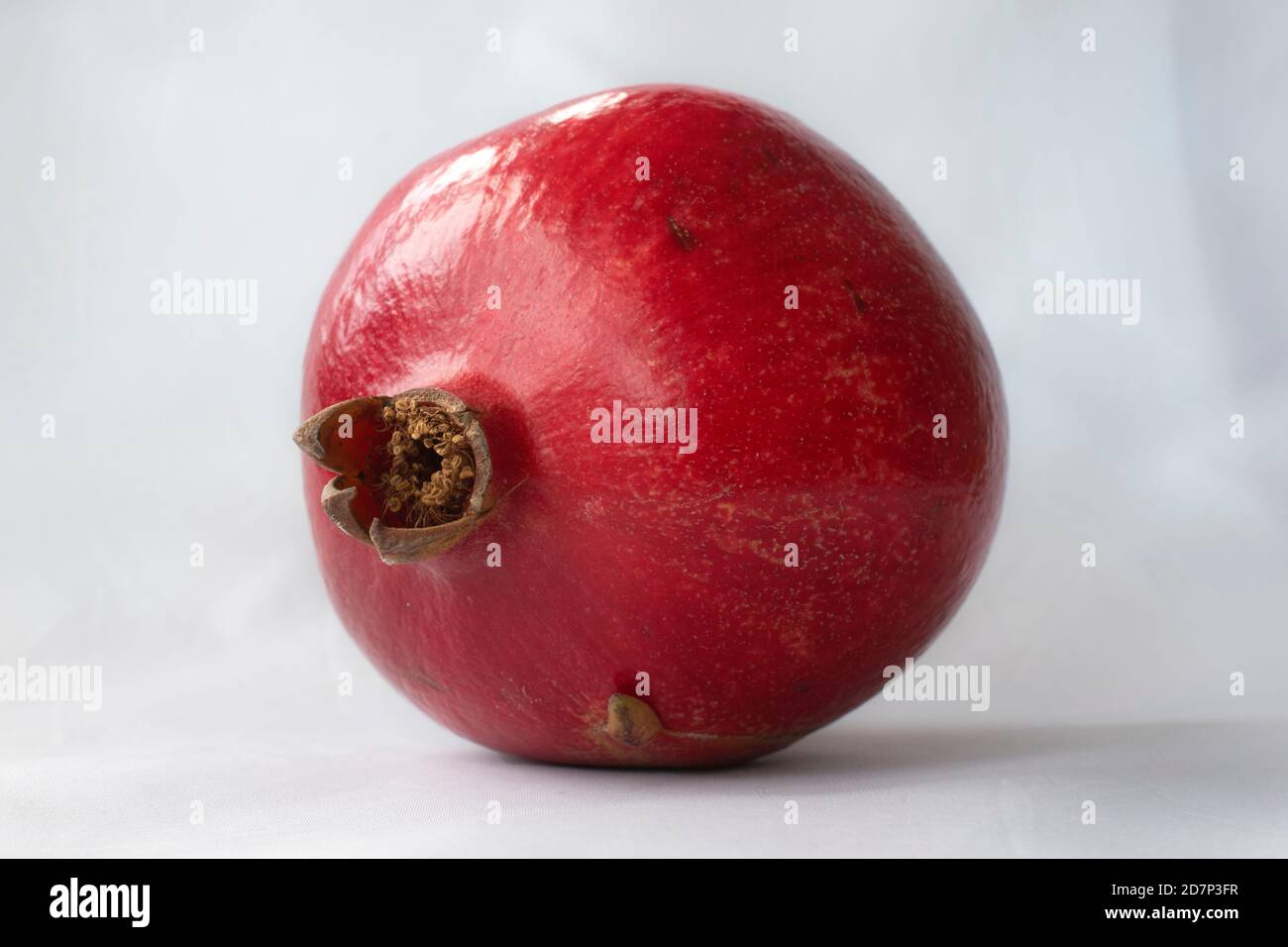 Leuchtend rote ganze Granatapfelfrucht (Punica granatum) isoliert auf Weiß Stockfoto