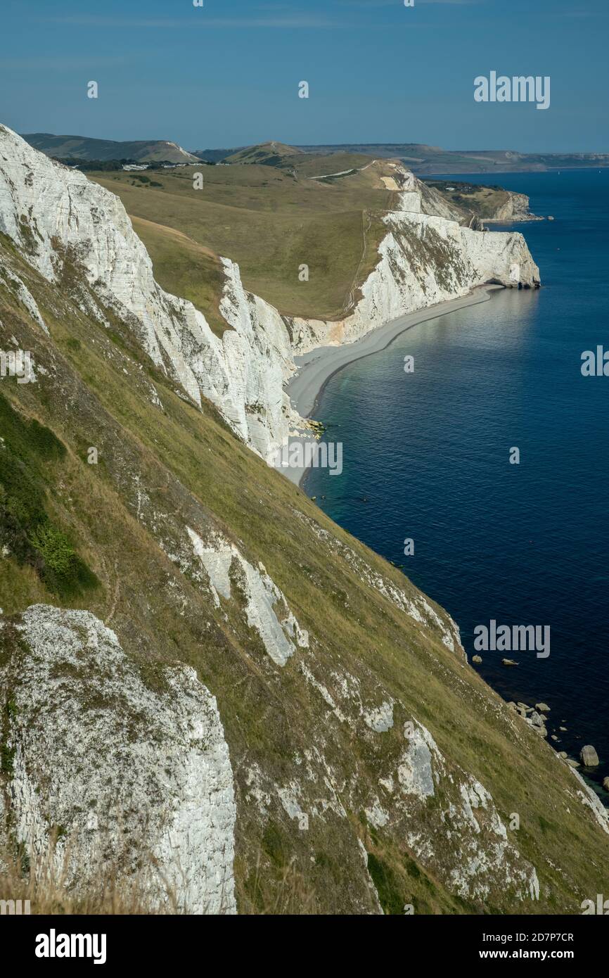Weiße Kreidefelsen, von White Nothe nach Osten in Richtung Swyre Head und Durdle Door, Dorset. Stockfoto