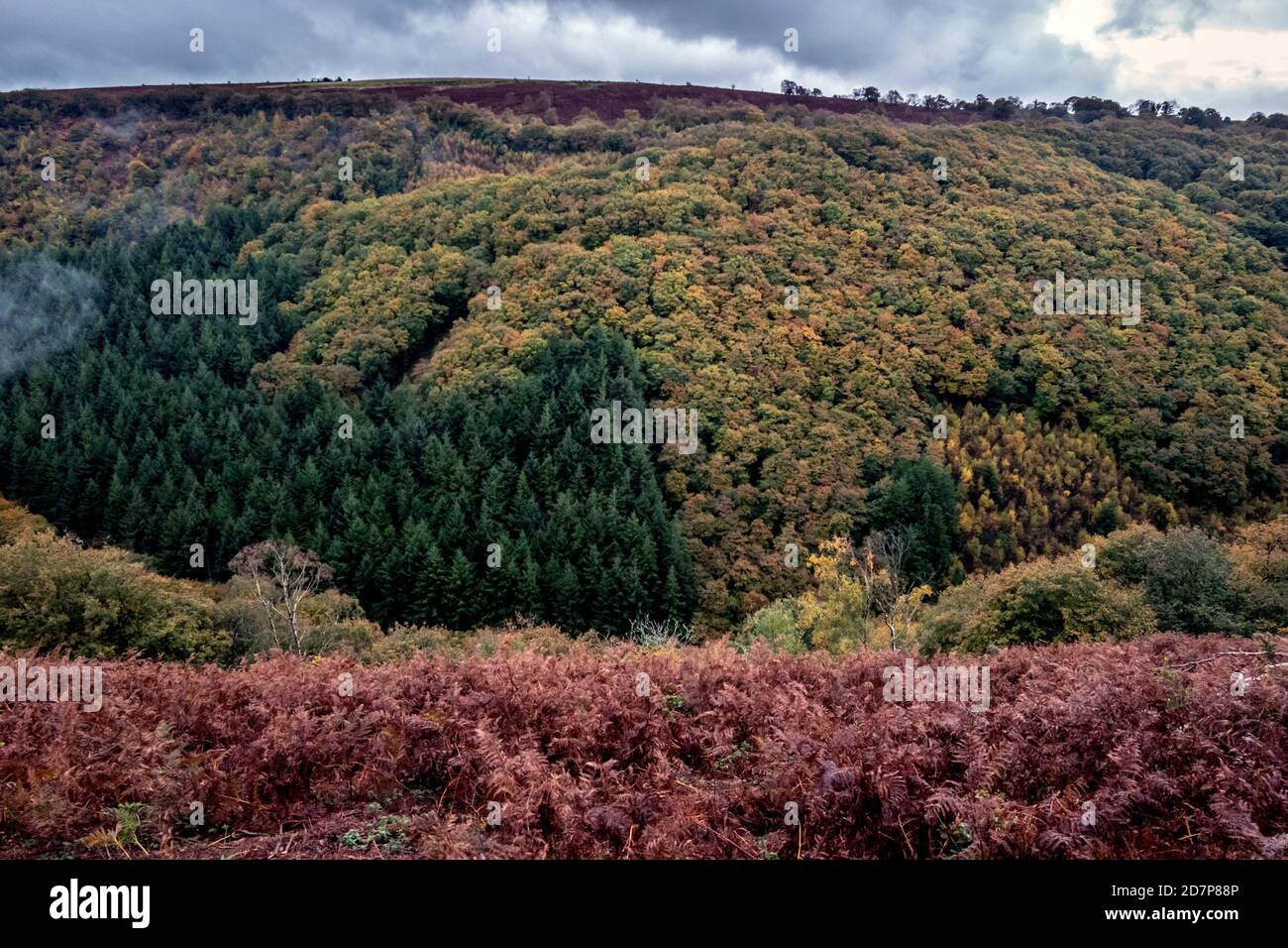 In Lydford Gorge in der Nähe von Castle Drogo in Devon Stockfoto