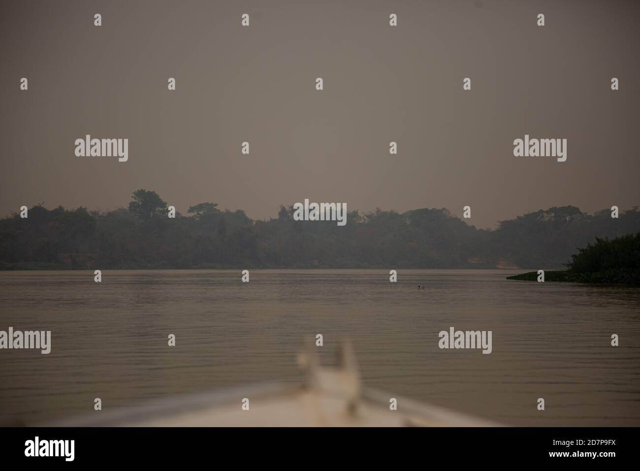 Die große Dürre des brasilianischen Pantanal 2020 Stockfoto