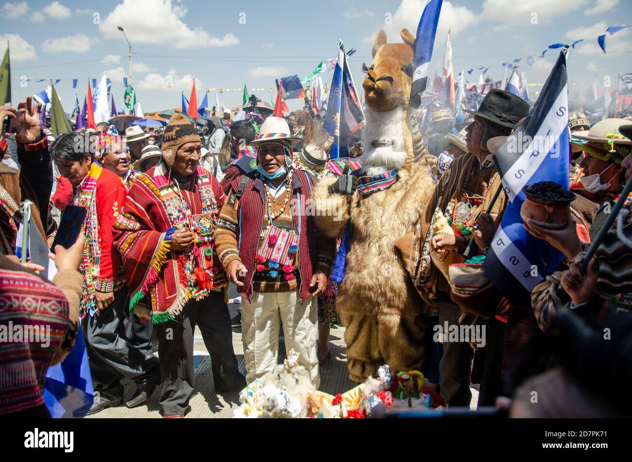 El Alto, Bolivien. Oktober 2020. Tausende von Unterstützern, darunter ein Mann in einem Lama-Kostüm, kamen, um ihren Kandidaten und designierten Präsidenten Luis Alberto Arce Catacora zu sehen und zu feiern. Die Bewegung für den Sozialismus (Movimiento al Socialismo - MAS) gewann mit über 55% der Stimmen bei den Nationalwahlen am 18. Oktober 2020. Kredit: Radoslaw Czajkowski/ Alamy Live Nachrichten Stockfoto