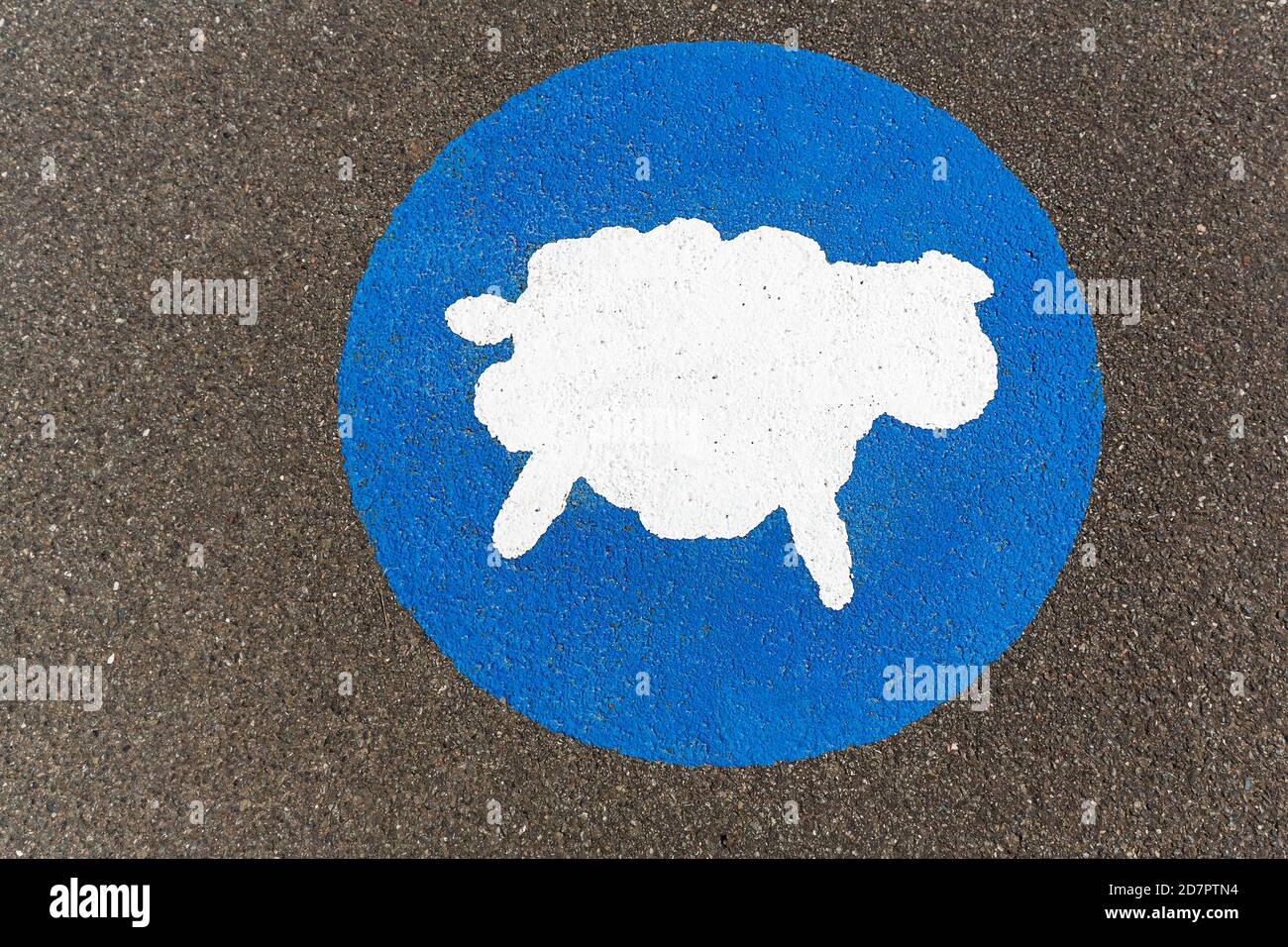 Weiße Schafe auf blauem Hintergrund, hat Priorität, Piktogramm auf dem Boden wirbt Betrachtung auf dem Deich, Elbe-Radweg, Lüneburg Bezirk Stockfoto