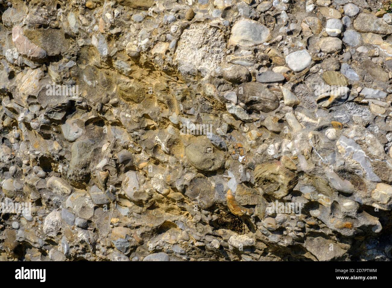 am-mittagberg-bei-immenstadt-fotos-und-bildmaterial-in-hoher