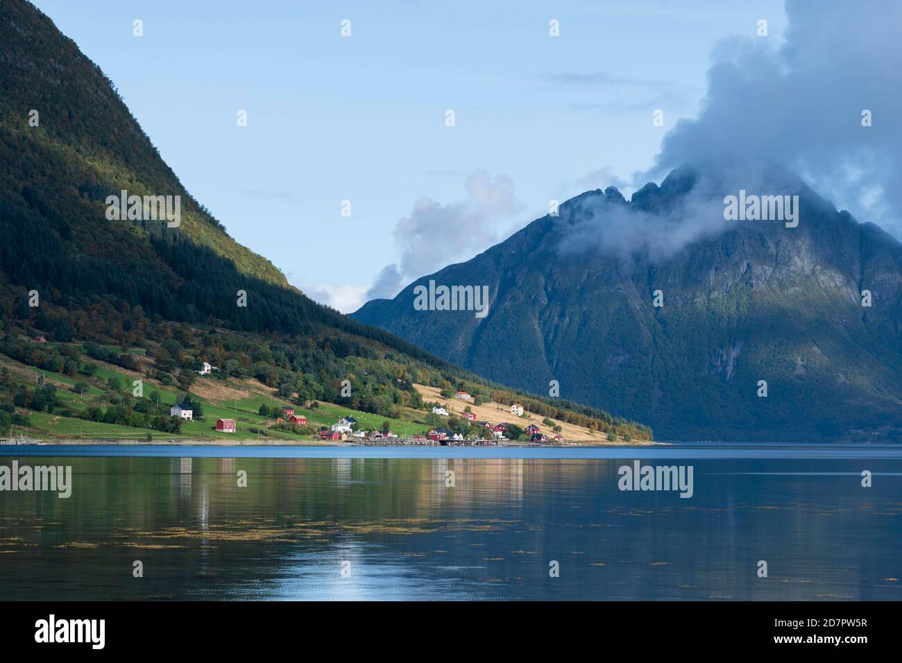 Kleine Siedlung auf einem Fjord, hinter Bergen mit bewaldeten Hängen, Dalsgrenda, Nordland, Norwegen Stockfoto